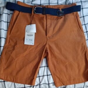 Zara Brown Flat Front Shorts